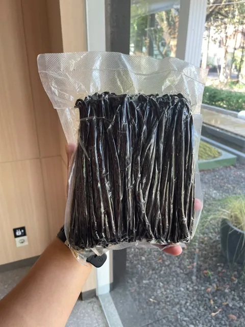 Vanilla beans in daylight